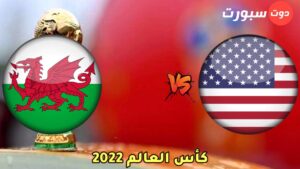 موعد مباراة امريكا و ويلز