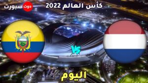 موعد مباراة هولندا والاكوادور اليوم 
